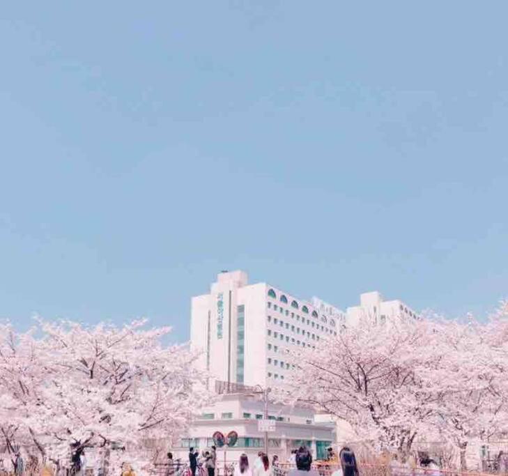 Seokchon Byeolchae Apartment Seoul Exterior photo